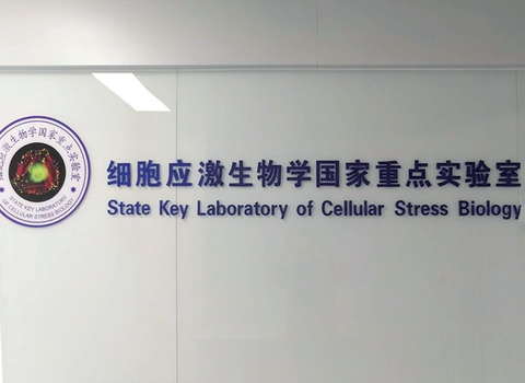 廈門大學(xué)實驗室